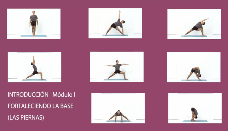 curso-de-yoga-iyengar-modulo-I